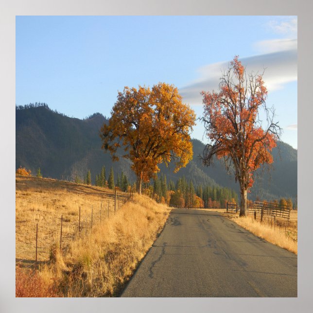 Beautiful colours in Fall... Poster (Front)