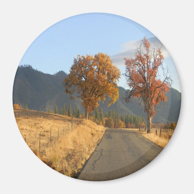 Beautiful colours of Fall.... Magnet (Front)