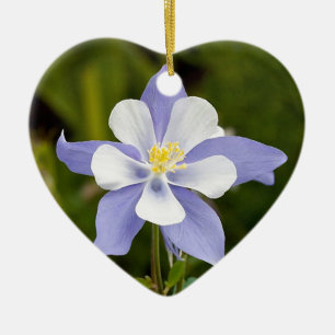 Beautiful Columbine Ceramic Tree Decoration