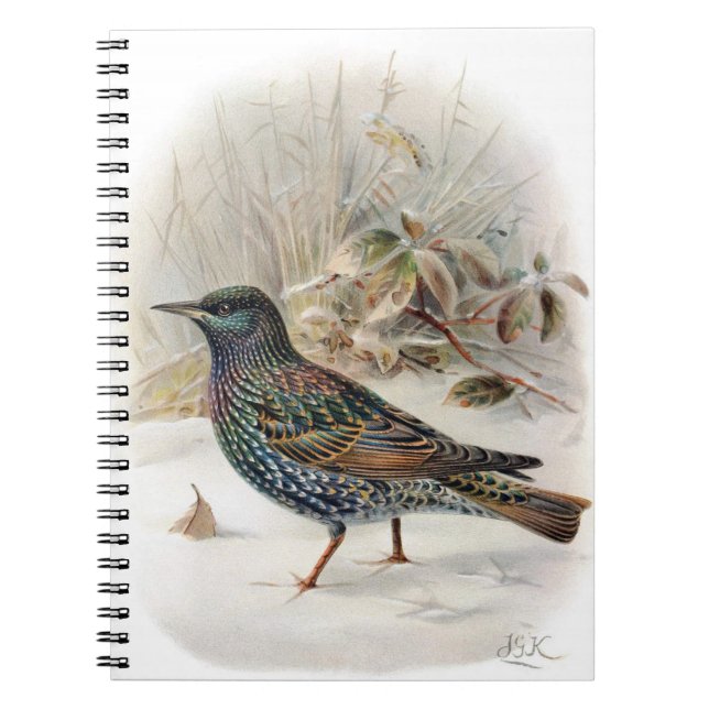 Beautiful Common Starling Note Book (Front)