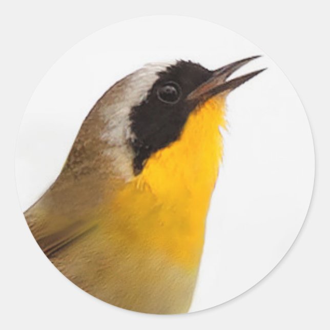 Beautiful Common Yellowthroat Warbler Songbird Classic Round Sticker (Front)