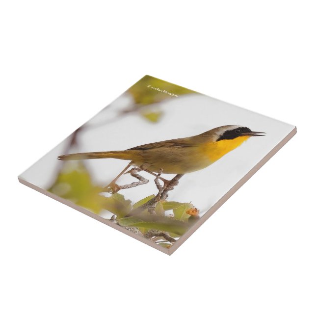 Beautiful Common Yellowthroat Warbler Songbird Tile (Side)