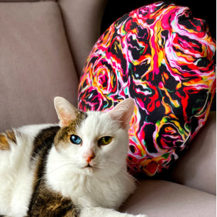 Beautiful Cool Colourful Funky Round Cushion
