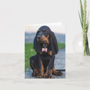 Beautiful Coonhound Any Occasion Card