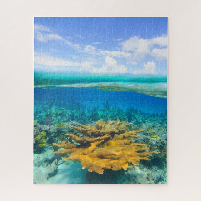 Beautiful Coral Reef Above and Below Jigsaw Puzzle (Vertical)