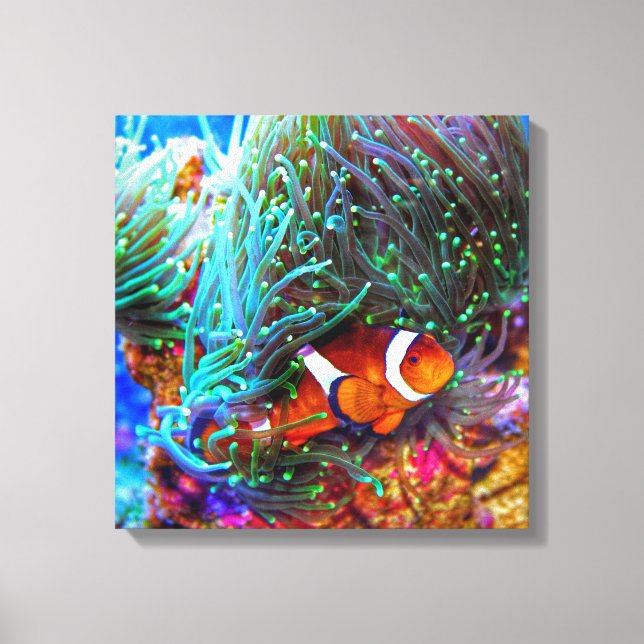 Beautiful Coral Reef with Clown Fish Canvas Print (Front)