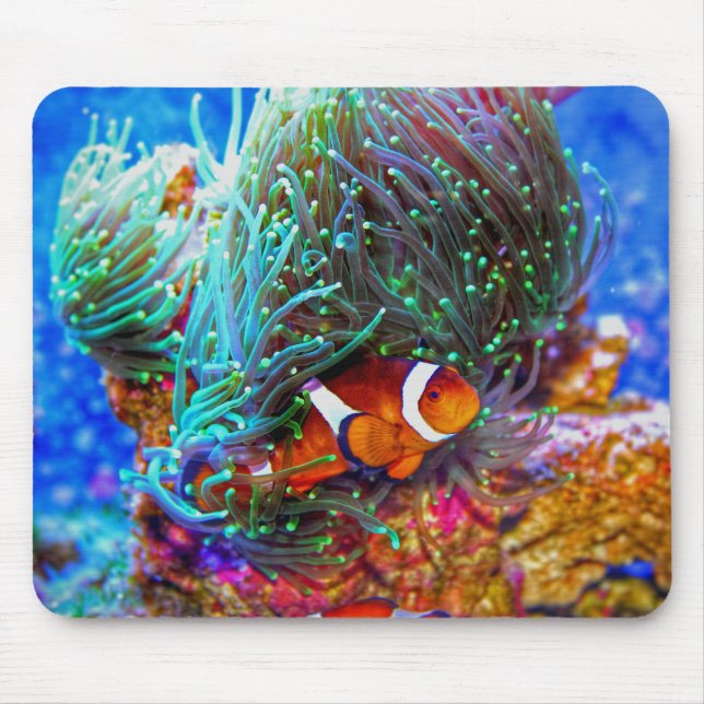 Beautiful Coral Reef with Clown Fish Mouse Mat (Front)