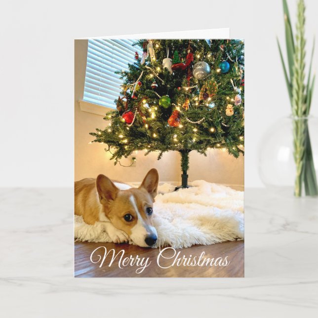 Beautiful Corgi Christmas Tree Photograph Custom Holiday Card (Front)