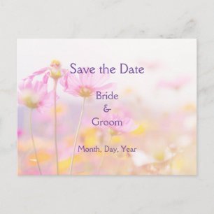 Beautiful Cosmos Garden Flower Pink Mauve Purple Announcement Postcard