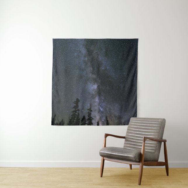Beautiful Cosmos Tapestry (In Situ)