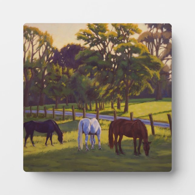Beautiful Country Horses Grazing  Poster Plaque (Front)