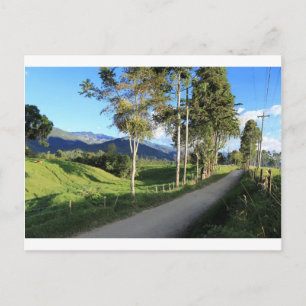 Beautiful country road Salento Colombia Postcard