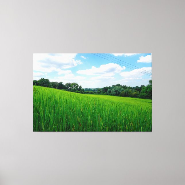Beautiful countryside canvas print (Front)