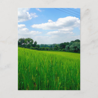 Beautiful countryside invitation postcard
