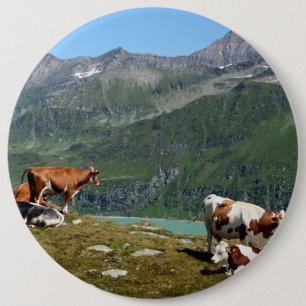 Beautiful Cows High Up In The Mountains 6 Cm Round Badge