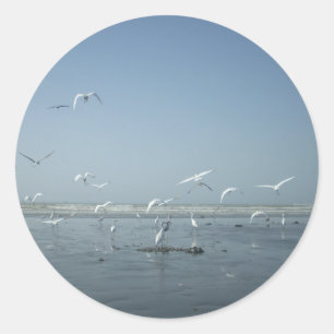 Beautiful Cranes Flying Over Water Nature's Ballet Classic Round Sticker