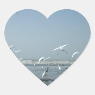 Beautiful Cranes Flying Over Water Nature's Ballet Heart Sticker