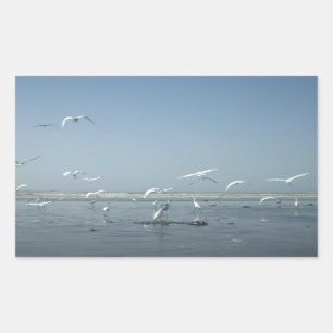 Beautiful Cranes Flying Over Water Nature's Ballet Rectangular Sticker