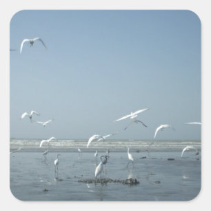 Beautiful Cranes Flying Over Water Nature's Ballet Square Sticker