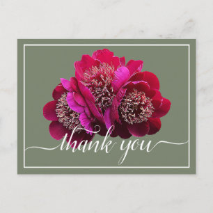 Beautiful Crimson Peonies Colour Backdrop Thank Yo Postcard