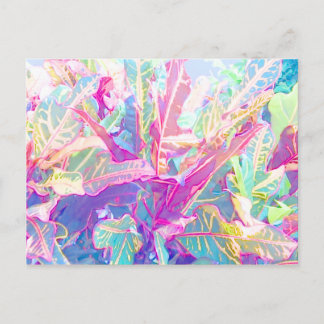 Beautiful croton leaves (2) postcard