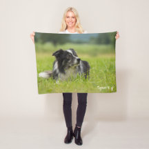 Beautiful Custom Name Border Collie