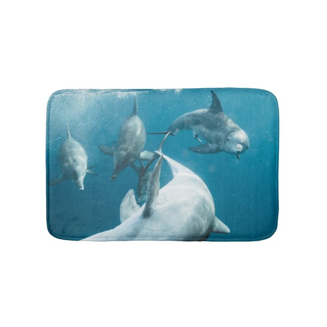 Beautiful Cute Dolphins Bath Mat (Front)