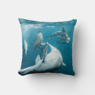 Beautiful Cute Dolphins Cushion