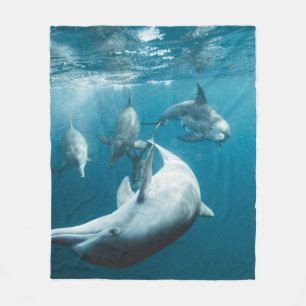 Beautiful Cute Dolphins Fleece Blanket