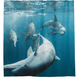 Beautiful Cute Dolphins Shower Curtain