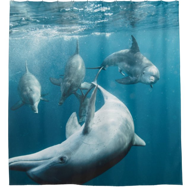 Beautiful Cute Dolphins Shower Curtain (Front)