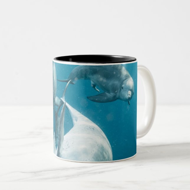 Beautiful Cute Dolphins Two-Tone Coffee Mug (Front Right)