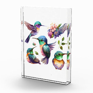 Beautiful & Cute Hummingbirds for Bird Lovers on Photo Block