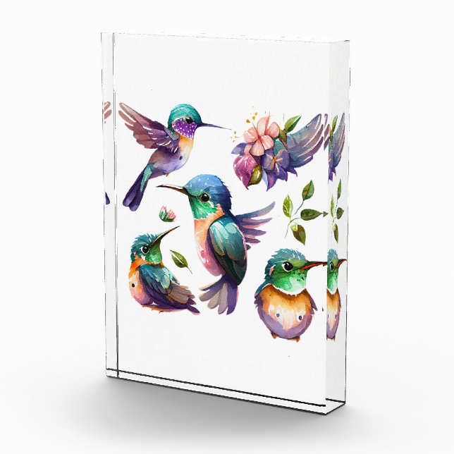 Beautiful & Cute Hummingbirds for Bird Lovers on   Photo Block (Right)