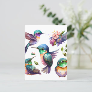 Beautiful & Cute Hummingbirds for Bird Lovers on   Postcard