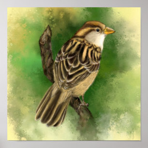 Beautiful Cute Little Sparrow Migned Painting Art  Poster