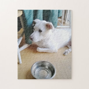 Beautiful Cute White Puppy Near Kitchen Table Jigsaw Puzzle