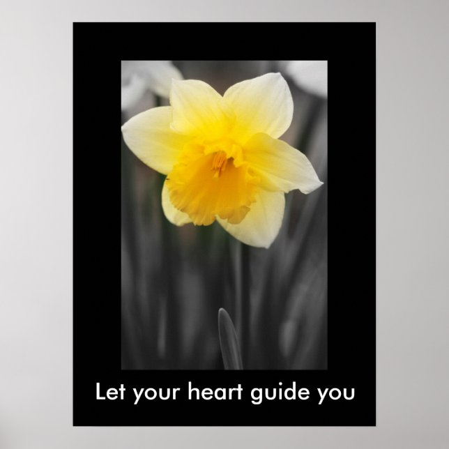 Beautiful daffodil, Value Poster Paper (Matte) (Front)