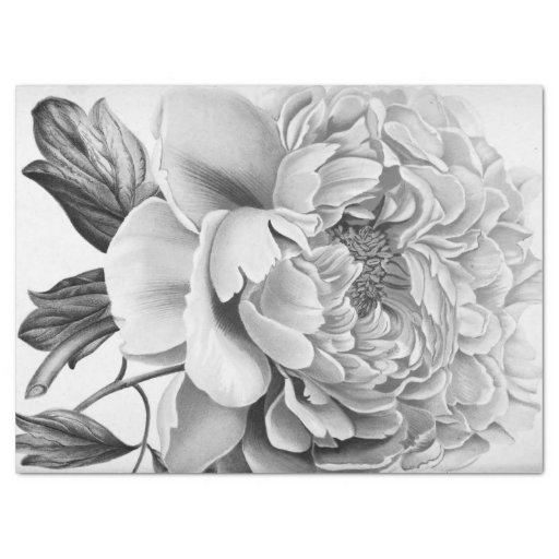 Image of Beautiful Dahlia Flower Tissue Paper