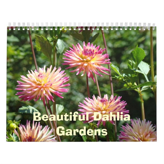 Beautiful Dahlia Gardens Calendars Floral Photos (Cover)