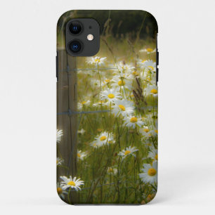 Beautiful Daisies iPhone 5 Barely There Case
