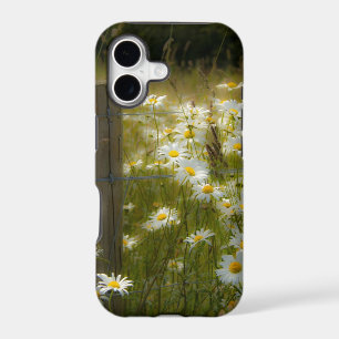 Beautiful Daisies iPhone 5 Barely There Case