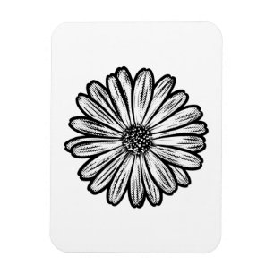 Beautiful Daisy Flower, Halftone Illustration Magnet