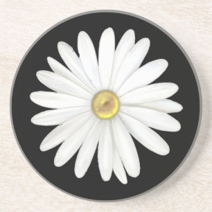 Beautiful Daisy Flower on Black Coaster