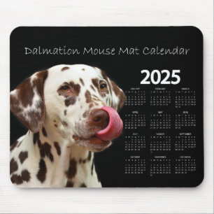 Beautiful Dalmatian Dog 2025 Calendar Mouse Mat