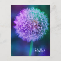 Beautiful Dandelion on Blue Background 