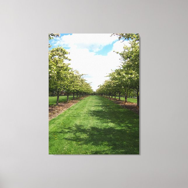 Beautiful Day Canvas Print (Front)