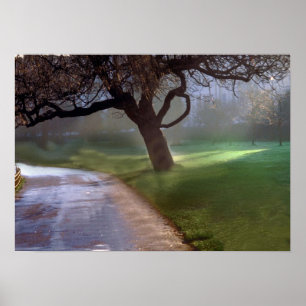Beautiful day poster