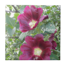 Beautiful Deep Red Flowers and Green Leaves