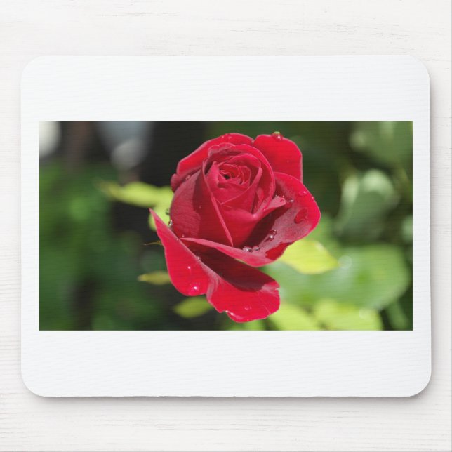 Beautiful Deep Red Rose Mouse Mat (Front)